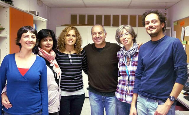 Professorat de català