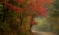 Autumn at Kwang Reung national park