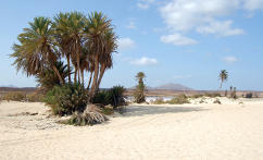 Desert a Cap Verde